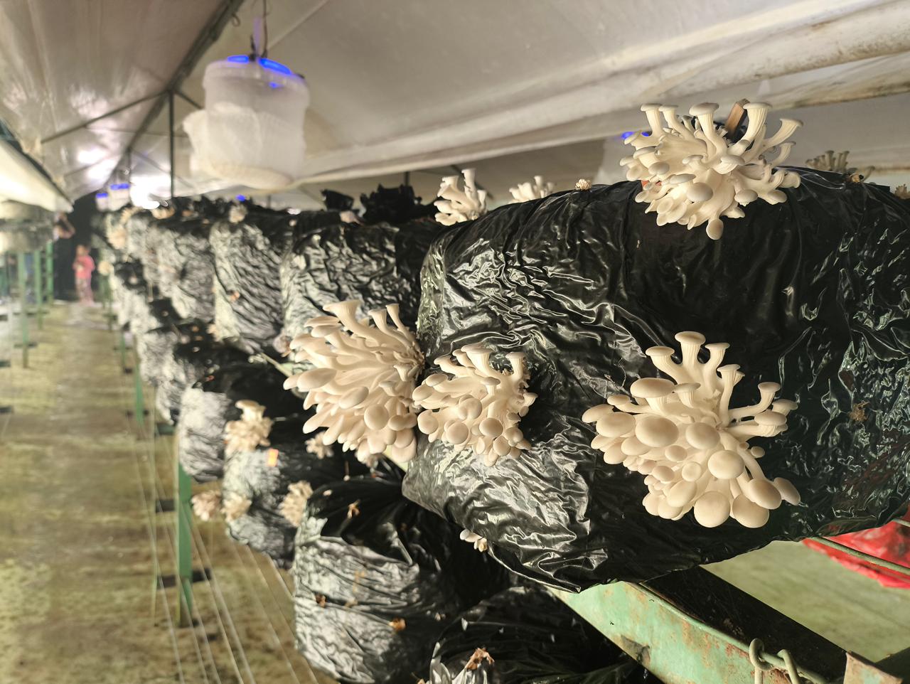 Melhores destinos para 2025